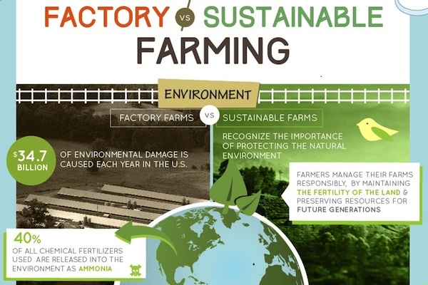 Factory-Farming-versus-Sustainable-Farming