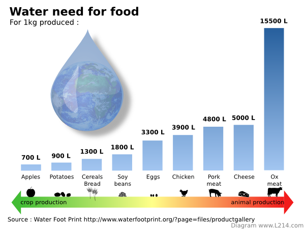 meat-water-use